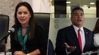 ‘No estamos interesados’: Partido Verde se desmarca de ir en alianza con con el PRI en SLP