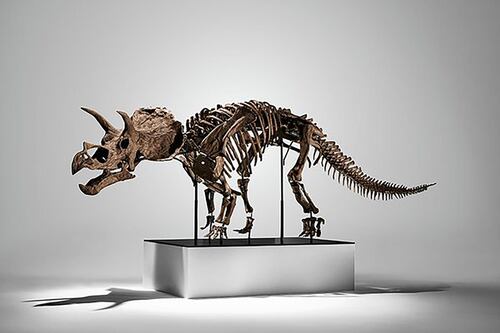 El ‘sueño’ de John Hammond: Subastan esqueleto de tricerátops por 5.3 millones de dólares en NY