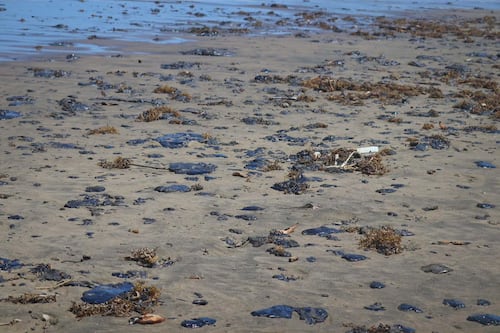 ‘Todavía no está identificada’: Gobierno aún desconoce qué empresa derramó petroleo en el Golfo