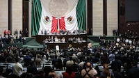 Diputados aprueban que padres de familia elijan el orden de los apellidos de sus hijos