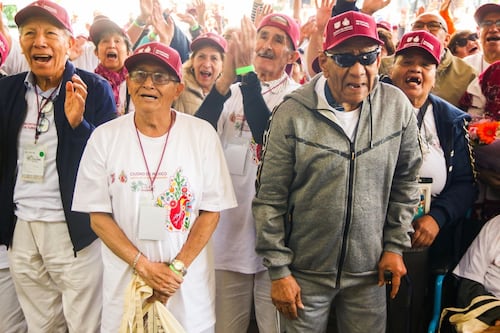 Demografía: ignorar al rinoceronte gris