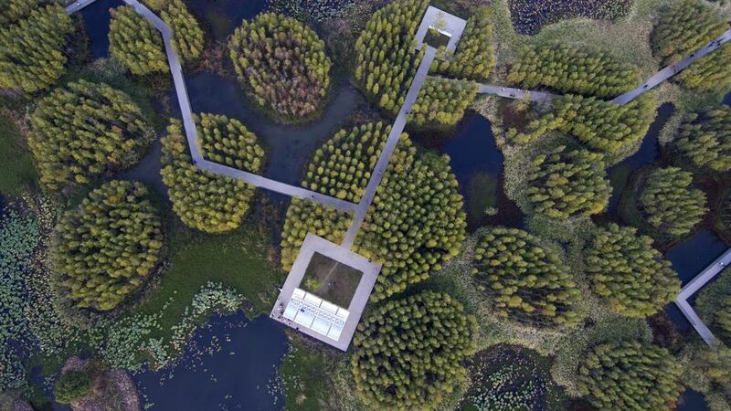 ‘Ciudades esponja’: La propuesta de un arquitecto chino para salvar al mundo del calentamiento global