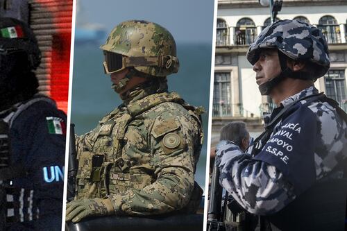 Se concreta la Guardia Nacional: la aprueban 17 Congresos locales