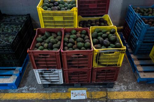 Exportaciones se anticipan a aranceles de EU y avanzan 5.5%