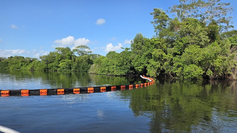Derrame en Río Seco preocupa a pescadores: Reportan ‘fuerte olor a petróleo’ en inmediaciones de Dos Bocas