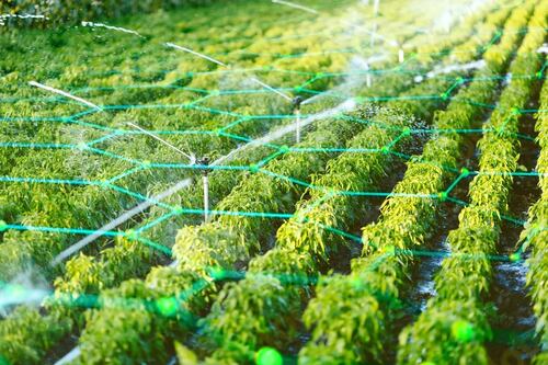 Tecnología 5G-NR reducirá consumo de agua en cultivos latinoamericanos