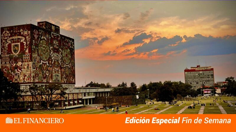 Un economista para Rector de la UNAM