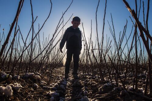 Para que el campo no muera