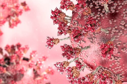 El COVID-19 no ha terminado: Estos son los síntomas de la nueva variante BA.4.6