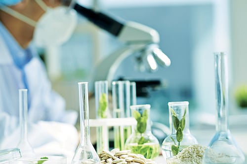 Estudiantes de UDEM guían la innovación en energía