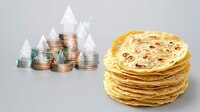 ¿Precio de la tortilla subirá? Advierten de escenario catastrófico para cosecha de maíz blanco