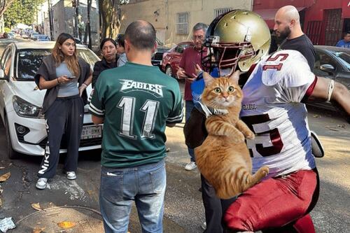 ¡Touchdown de memes! Los mejores del sismo de 5.7 en domingo de Super Bowl LX y Bad Bunny