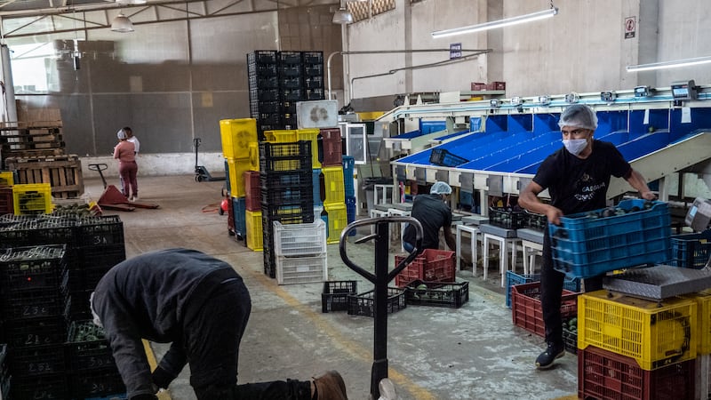 Economía se acelera y sorprende con alza de 2.6% en febrero