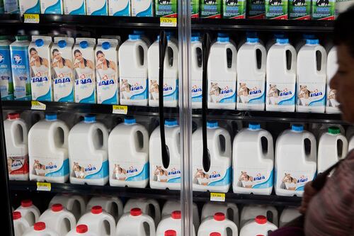 Grupo Lala concluirá pago de dividendos