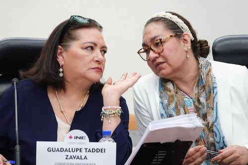 Renuncia la secretaria ejecutiva del INE a un día de que comience el proceso electoral del 2027