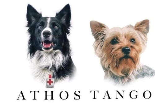 Muerte de Athos y Tango: SCJN analiza proyecto que podría reducir la condena del asesino de dos perritos