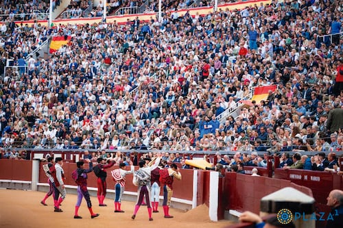 Madrid.MX