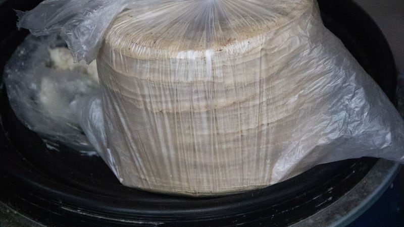 Precio de tortilla inicia septiembre con ‘pie izquierdo’ en estos estados