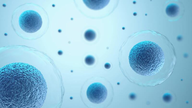 Células CAR-T: ¿Cómo es el tratamiento contra el cáncer aprobado por Cofepris?