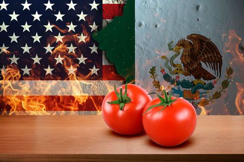 La ‘guerra’ de los tomates: ¿Qué provocó la pelea arancelaria de EU con el jitomate mexicano?