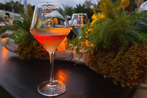 ‘Tuvimos miedo, hoy brindamos’: Vallarta regresa a la normalidad; festival de vino genera derrama de 80mdp