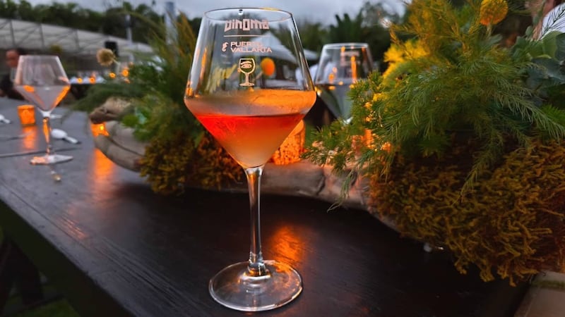 ‘Tuvimos miedo, hoy brindamos’: Vallarta regresa a la normalidad; festival de vino genera derrama de 80mdp