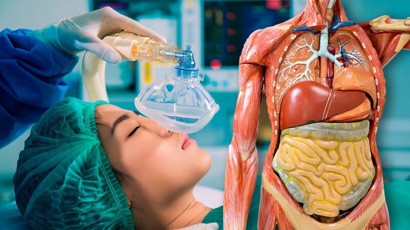 ‘Solo cuenta hasta 10′: ¿Qué pasa con tu cuerpo cuando te aplican anestesia general en una cirugía?