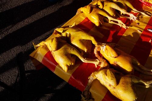 Primera muerte por gripe aviar H5N2 en México: Salud descarta riesgo de contagio para la población