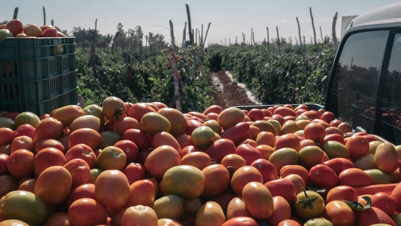 México ya es el segundo ‘marchante’ favorito del campo de EU