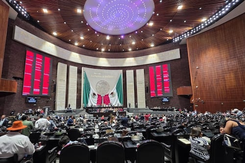 ‘Está más fuerte que nunca’: PVEM dice que alianza con PT y Morena sigue previo a reforma electoral