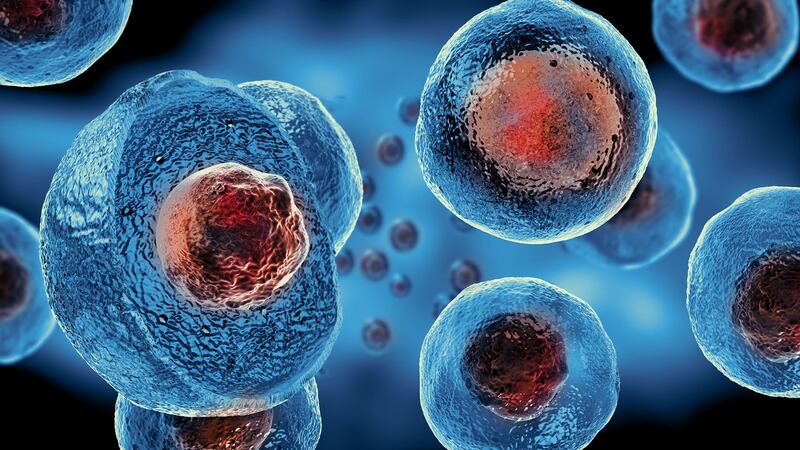 Mujer se cura de SIDA con trasplante de células madre; es la primera en lograrlo