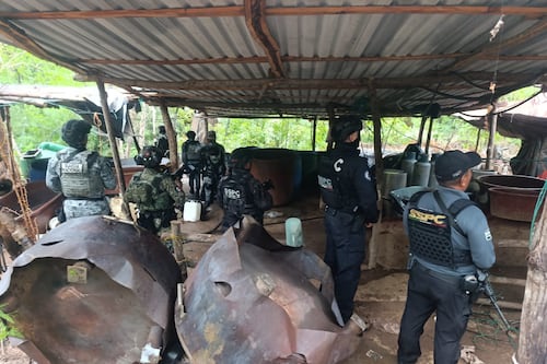 Desmantelan tres narcolaboratorios en Guerrero: Decomisan sustancias y precursores químicos