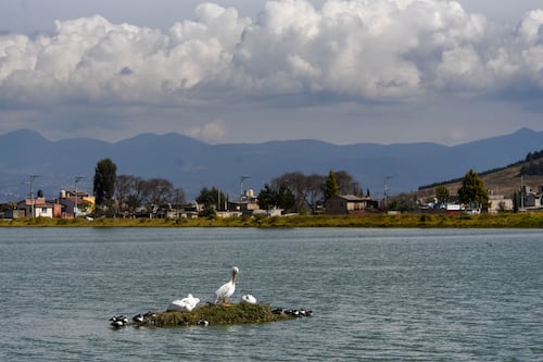 Colaboración y acción frente a los retos del agua en México