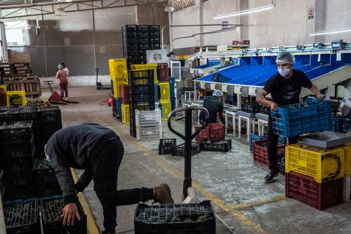 México debe evitar caer en el proteccionismo estadounidense