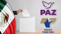 ‘Empiezan los juegos’: INE decidirá este jueves qué partidos políticos obtendrán su registro