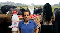 Santa Mónica: La historia de la lechería que relacionaron con ‘El Mayo’ y lleva el nombre de su hija