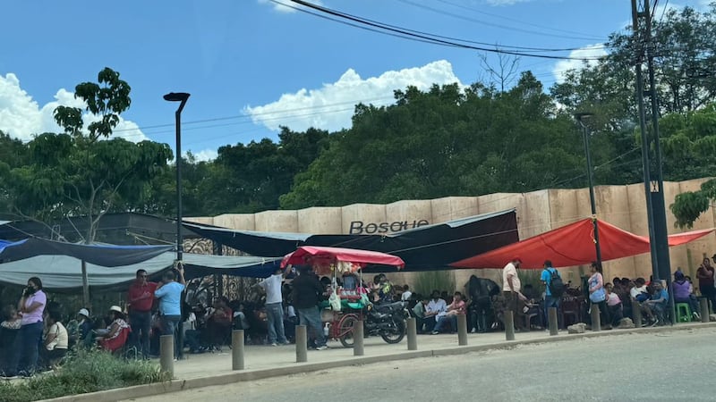 Movilizaciones de la CNTE en Oaxaca: Bloquean acceso a aeropuerto y planta de Pemex
