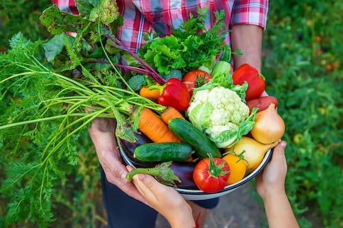 Productores deben prepararse para nuevos patrones de consumo pospandemia: Mariano Ruiz-Funes