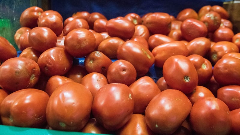 El tomate, de venenoso y afrodisiaco hasta su integración en las cocinas