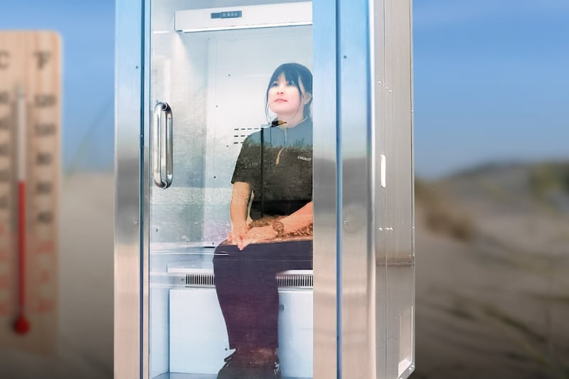 Las olas de calor te harán los mandados: Así es el refrigerador para personas que ya está a la venta