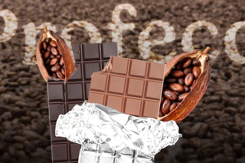 ¿Cómo le fue a los del Bienestar? Profeco te dice cuáles chocolates tienen más cacao