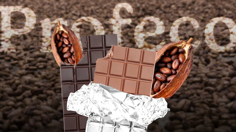¿Cómo le fue a los del Bienestar? Profeco te dice cuáles chocolates tienen más cacao