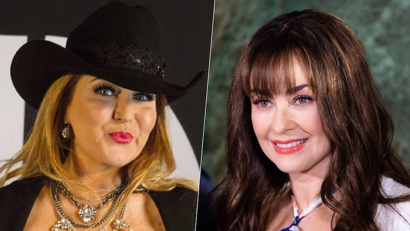¿Alicia Villarreal criticó a Aracely Arámbula por demanda a Luis Miguel?