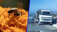 Accidente ‘lleno de miel’: Vuelca camión con abejas y desata el pánico en carretera de Nuevo León