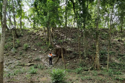 INAH confirma una ciudad maya monumental ocultra en la selva de Quintana Roo: Así es ‘El Jefeciño’