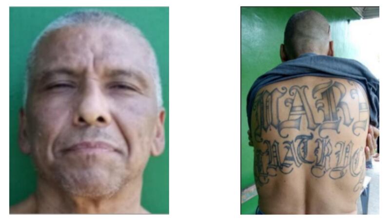 PERFIL: ‘Indio de Hollywood’, el mara salvatrucha que cayó en CDMX y es buscado por EU