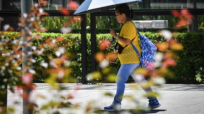 Y sí, la CDMX es uno de esos estados 'bochornosos'