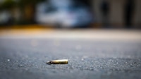 Asesinan a mujer trans en Jonuta; es el segundo transfeminicidio en Tabasco en lo que va del año