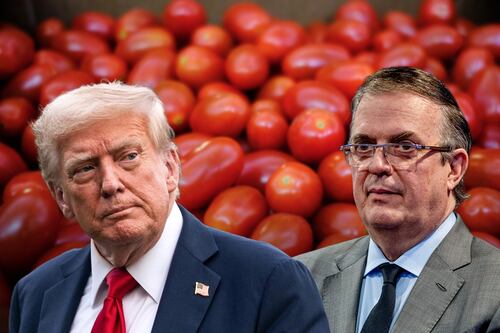 ‘Impuesto al jitomate no es un arancel’: Ebrard asegura que Trump solo aplicó una ‘cuota compensatoria’