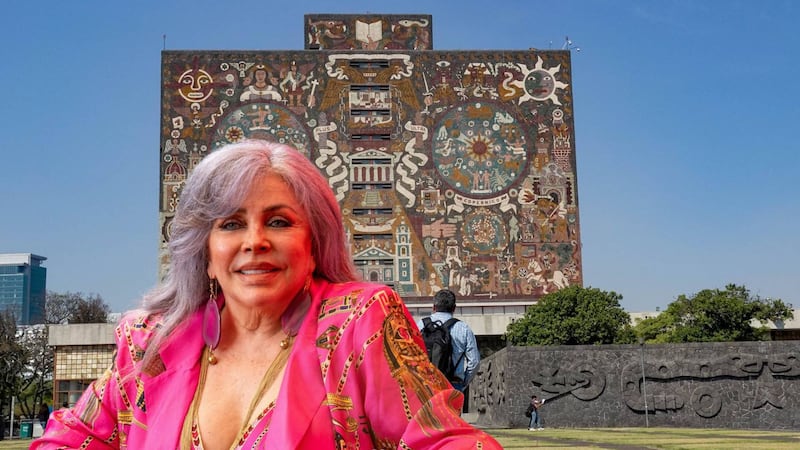 ‘Iba embarazada a presentar los exámenes’: Así fue el paso de Verónica Castro por la UNAM